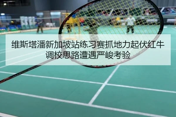 维斯塔潘新加坡站练习赛抓地力起伏红牛调校思路遭遇严峻考验